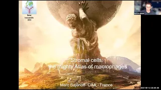 "Stromal cells: the mighty Atlas of macrophages" by Dr. Marc Bajenoff