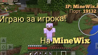 Играю на своем сервере(MineWix) 🌱 За игрока! 😉