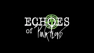 Comfortably Numb - Pink Floyd (cover) - Echoes of Pink Floyd