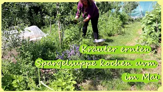 Gartenarbeit Mai -Juni / Kräuter ernten / Verarbeiten / Spargelsuppe uvm.