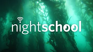 NightSchool: Underwater Forests