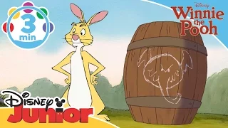 The Mini Adventures of Winnie the Pooh | Rabbit's Expedition | Disney Junior UK