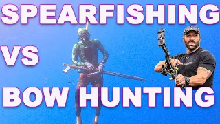 spearfishing vs archery (catch & cook on beach)