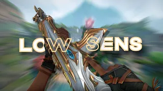 why you should use low sens