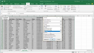 Subtotals and Page Breaks in Excel by Chris Menard