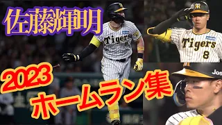 【規格外の大砲】阪神 佐藤輝明 2023 ホームラン集(～9/14 全20本＋α(好守備など))