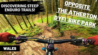 Dyfi Forest MTB | Enduro Trails opposite the Atherton Bike Park! Wales MTB