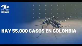 Síntomas del dengue: vea cuándo acudir al médico