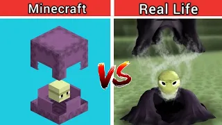 Minecraft VS Real Life (mobs, items, animals, characters) | Shulker in real life | Compilation