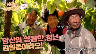 [추석특집 그 가을의 인간극장🍁 #1] 당신의 영원한 청년 김일봉이라오! | 여든 살 청년 일봉 씨의 가을 [KBS 20121112-16 방송]