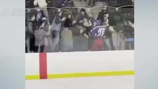 Junior hockey player suspended after fight in the stands