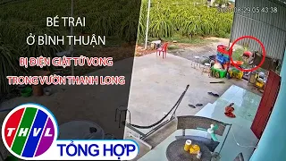 Bé trai ở Bình Thuận bị điện giật tử vong trong vườn thanh long