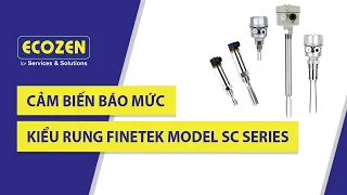 Nguyên lý hoạt động và Các loại Cảm biến báo mức, đo mức kiểu rung Finetek Model SC Series