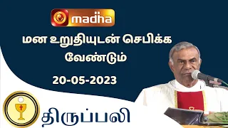 🔴 LIVE 20 MAY 2023 Holy Mass in Tamil 06:00 PM (Evening Mass) | Madha TV