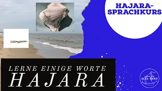 Hajara - Sprachkurs (Alea Aquarius) / Hajara - language course (Alea Aquarius)