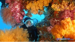 Raja Ampat Reefs