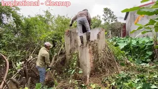 Weeds cover the abandoned house. Clean and cut overgrown weeds