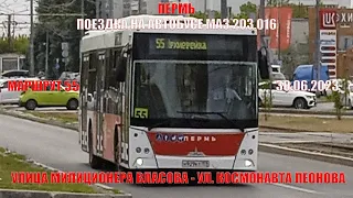 Пермь | Поездка на автобусе МАЗ 203.016 | Маршрут 55 | Власова - Леонова | 30.06.2023