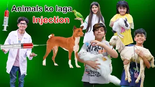 Animals ko Laga Injection  | Funny Comedy Video 😁🤣|| MoonVines
