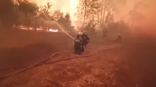 Dozens of Russian firefighters escape wildfire trap