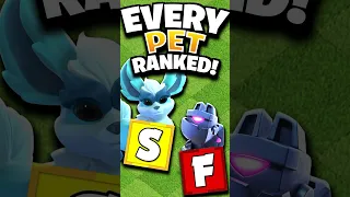 Ranking EVERY Hero Pet from WORST to BEST - Tier List