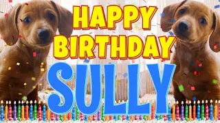 Happy Birthday Sully! ( Funny Talking Dogs ) What Is Free On My Birthday