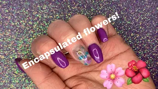 🌺Encapsulated Flowers🌸