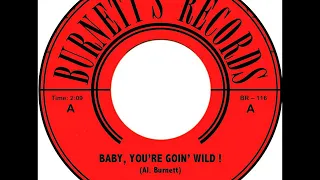 The Naives - Baby, You're Goin' Wild! (2000's Garage Rock Revival)