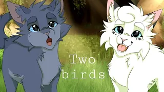 Two birds- Коты Воители [ Синяя Звезда и Белогривка ] Клип