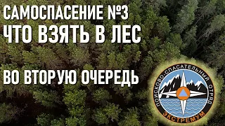 Что нужно взять с собой в лес (во вторую очередь) полезные вещи самоспасение Отряд Экстремум