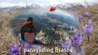 Paragliding Brasov in Romania