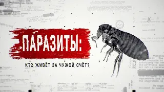 ИШВАЙ ДАВЫДОВ - сюжет на РЕН ТВ