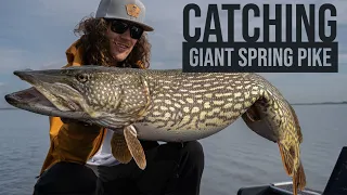 👌 CATCHING GIANT SPRING PIKE IN THE NETHERLANDS!