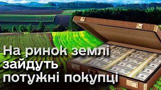 Земельні паї на продаж! На ринок запустять нових потужних покупців!