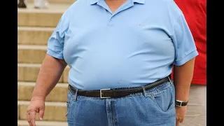 What Causes Obesity? The Basics