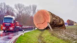 Dangerous Fastest Logging Dump Truck Work Fails Transport, Extreme Skill Wood Machines Operator