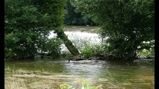 Rur Hochwasser