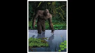 episode 48 Teenagers mesmerized by three bigfoot.