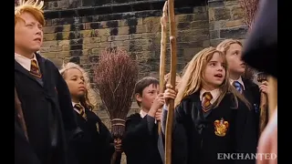 hermione being annoyed for 2 minutes straight