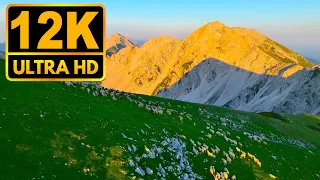 Faithful Colour 12K HDR 60fps (Dolby vision)