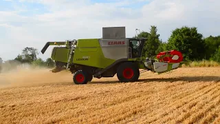 Harvest 2022 - Claas Lexion 630 Harvesting Wheat in the Dust at Glovers Farm