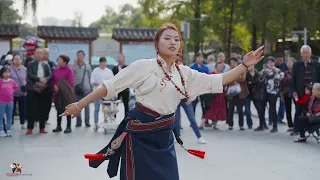 精彩藏族舞《嬉笑》《问候》，美妙的歌词让人喜悦！