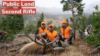 Colorado Second Rifle Elk Hunt - Public Land