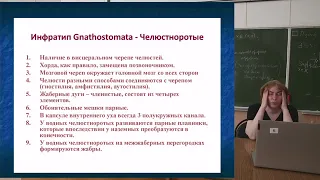 Общая биология, 13 лекция, Скобеева В.А., 26.04.2022, 1 курс