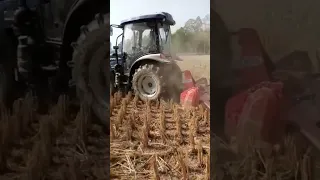 Cultivation with LOVOL 504-B Model Tractor | 50hp LOVOL Tractor | #banglamark #lovoltractors