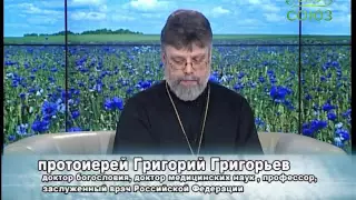 Точка опоры. Ответы на вопросы телезрителей. Выпуск от 20 ноября