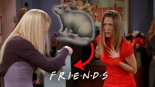 Phoebe Brings Rats to Rachel's Birthday Party | Friends