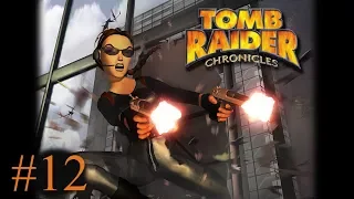 Tomb Raider 5 Chronicles - Level 12 (Escape with the Iris)