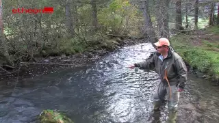 Fliegenfischen in Österreich - Taktik in schnellfließenden Gewässern - von etheonTV