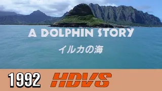 Sony's A Dolphin Story (1992 Analog HDTV 1080i HDVS Video BGV Demonstration Disc)